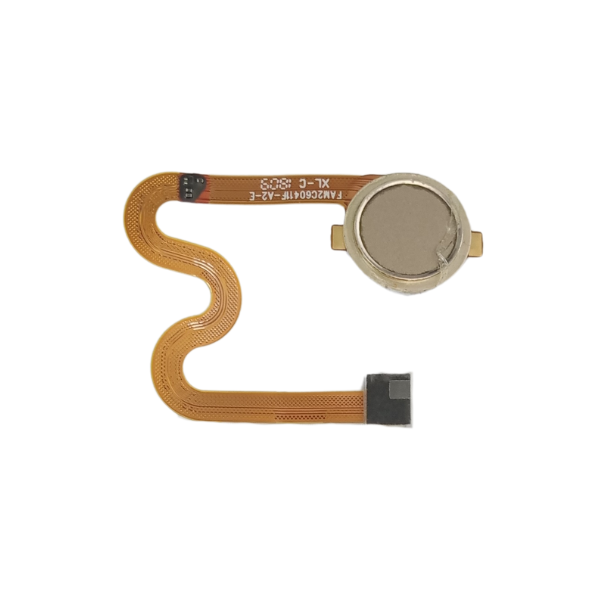 BOUTON D'EMPREINTE ORIGINAL CONDOR PLUME L3